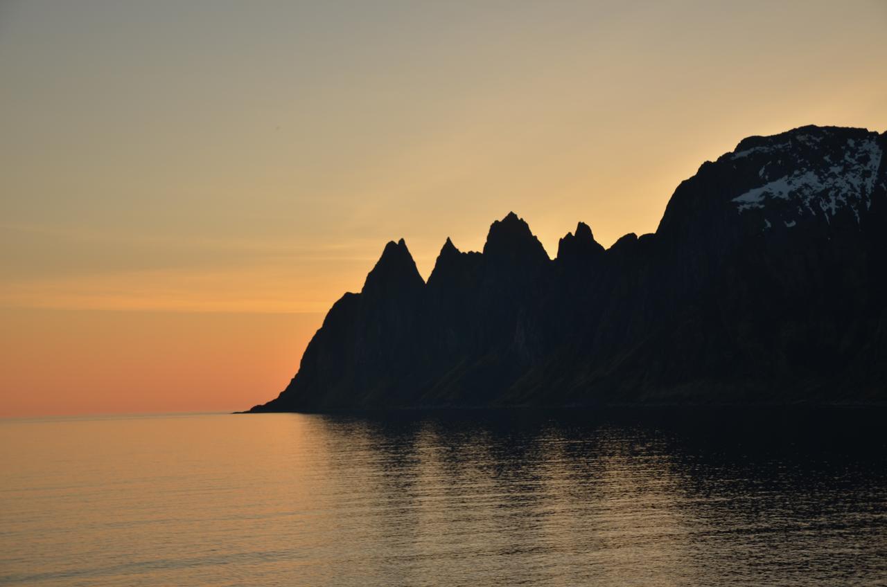 布里格峡湾酒店 Mefjordvær 外观 照片